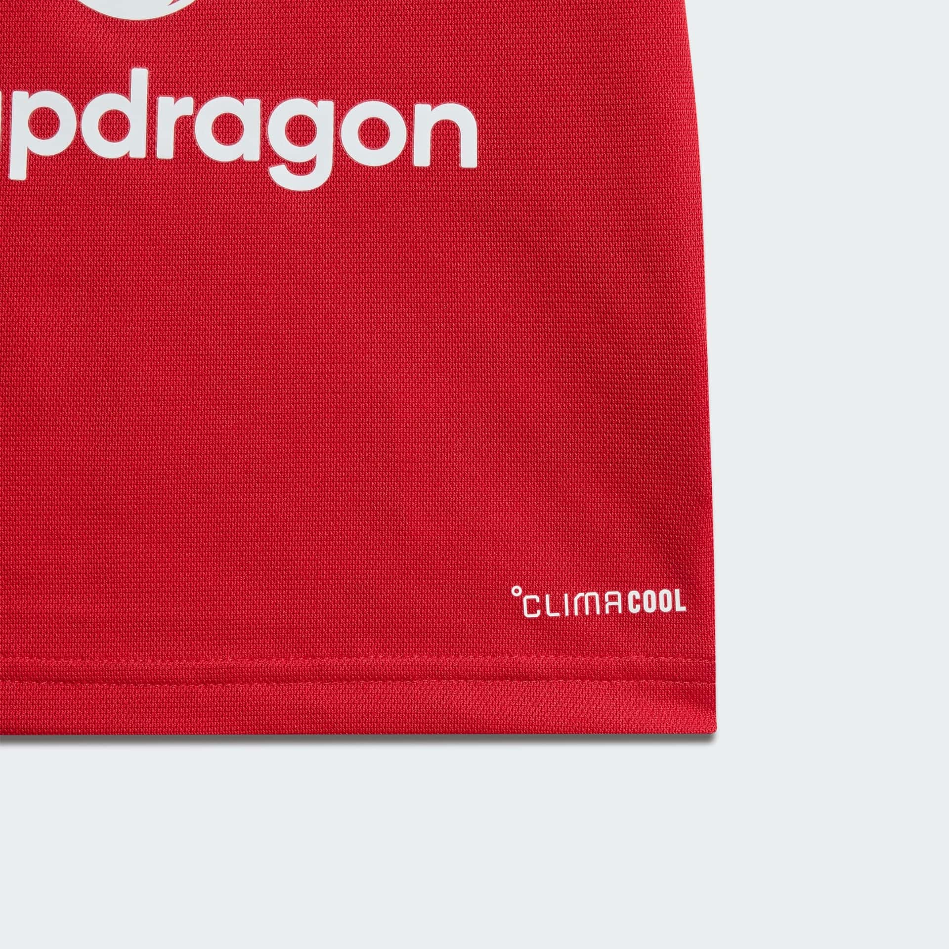 Manchester United 25/26 Third Jersey