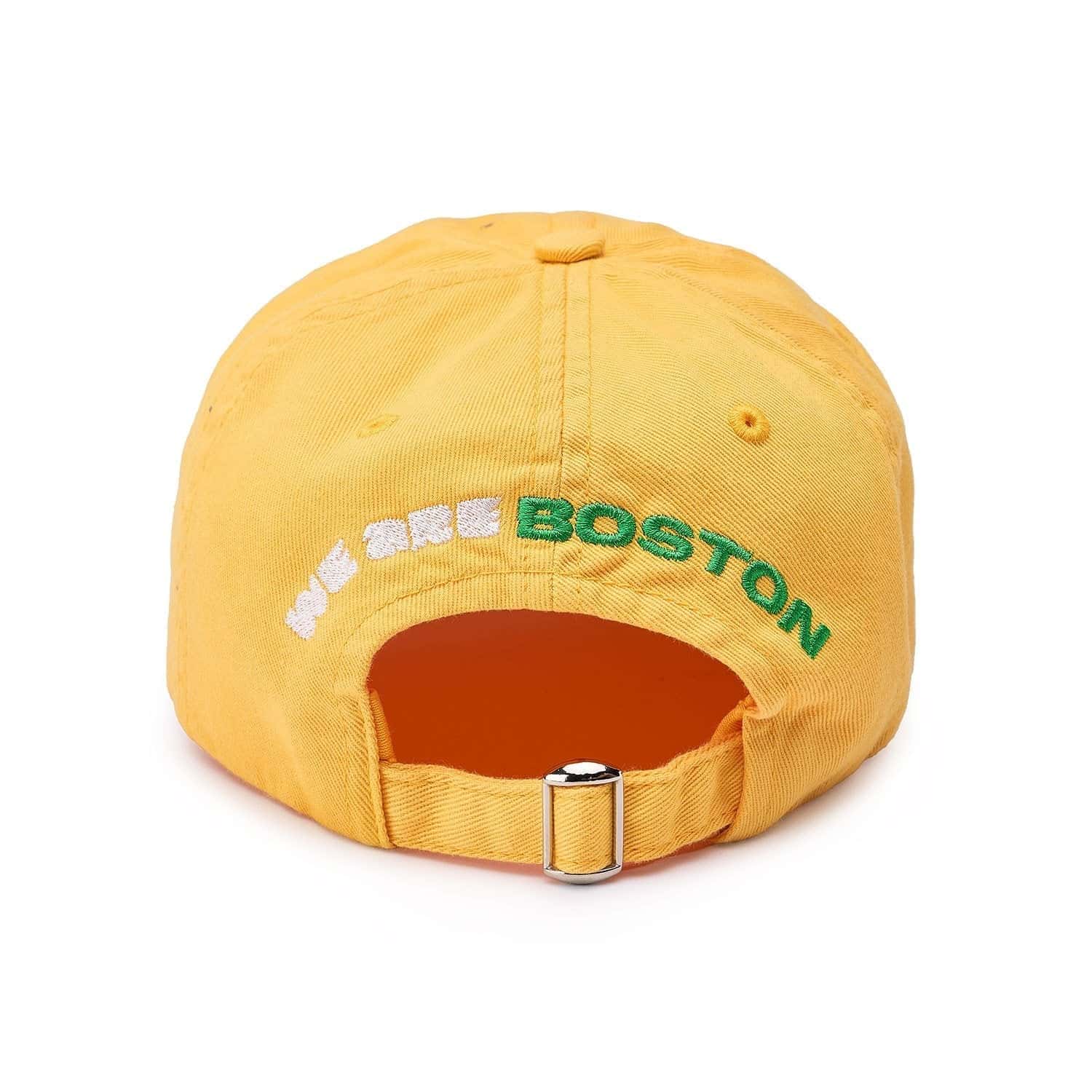 World Cup 2026 Boston Caps & Hat