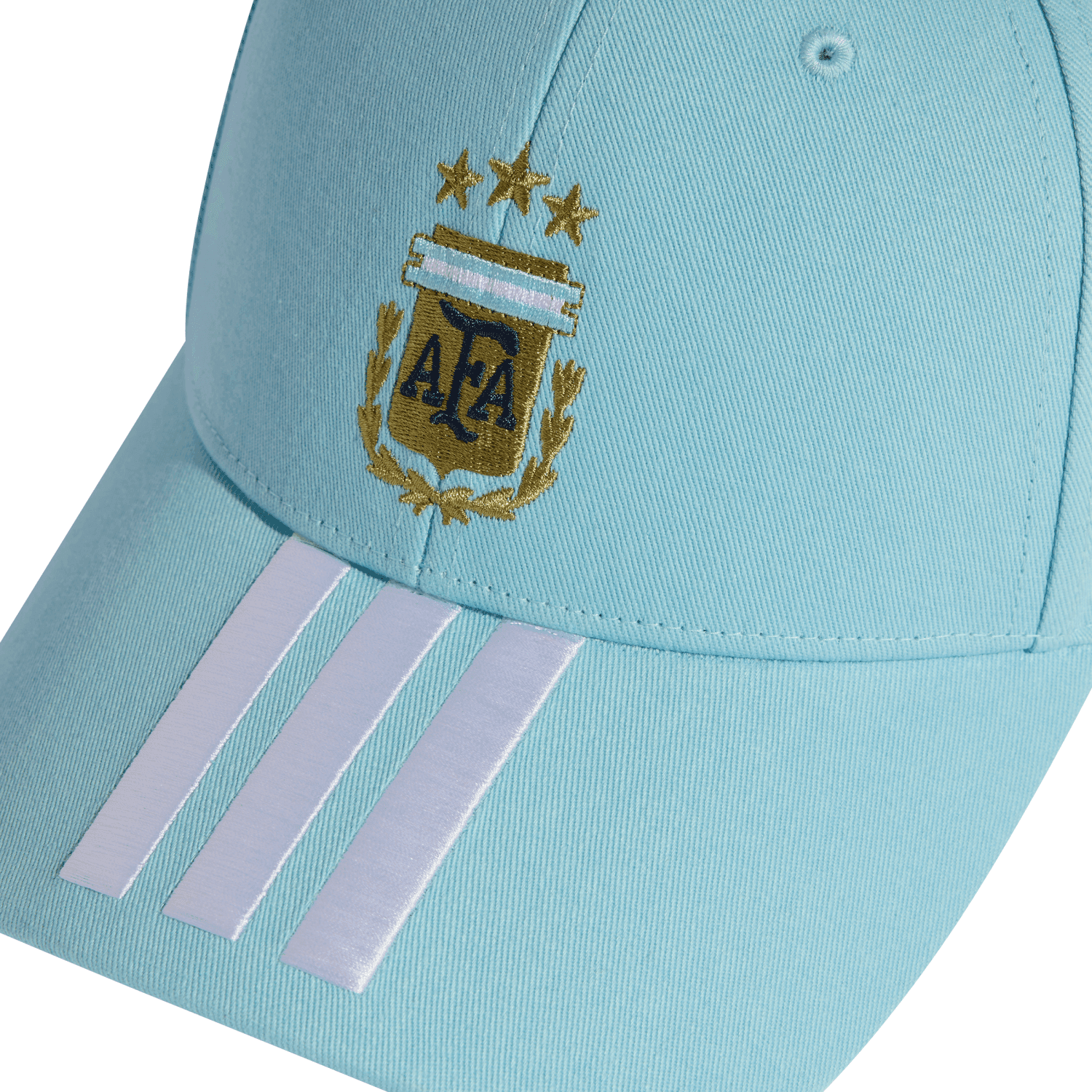Argentina World Cup 2026 Caps & Hat alternate