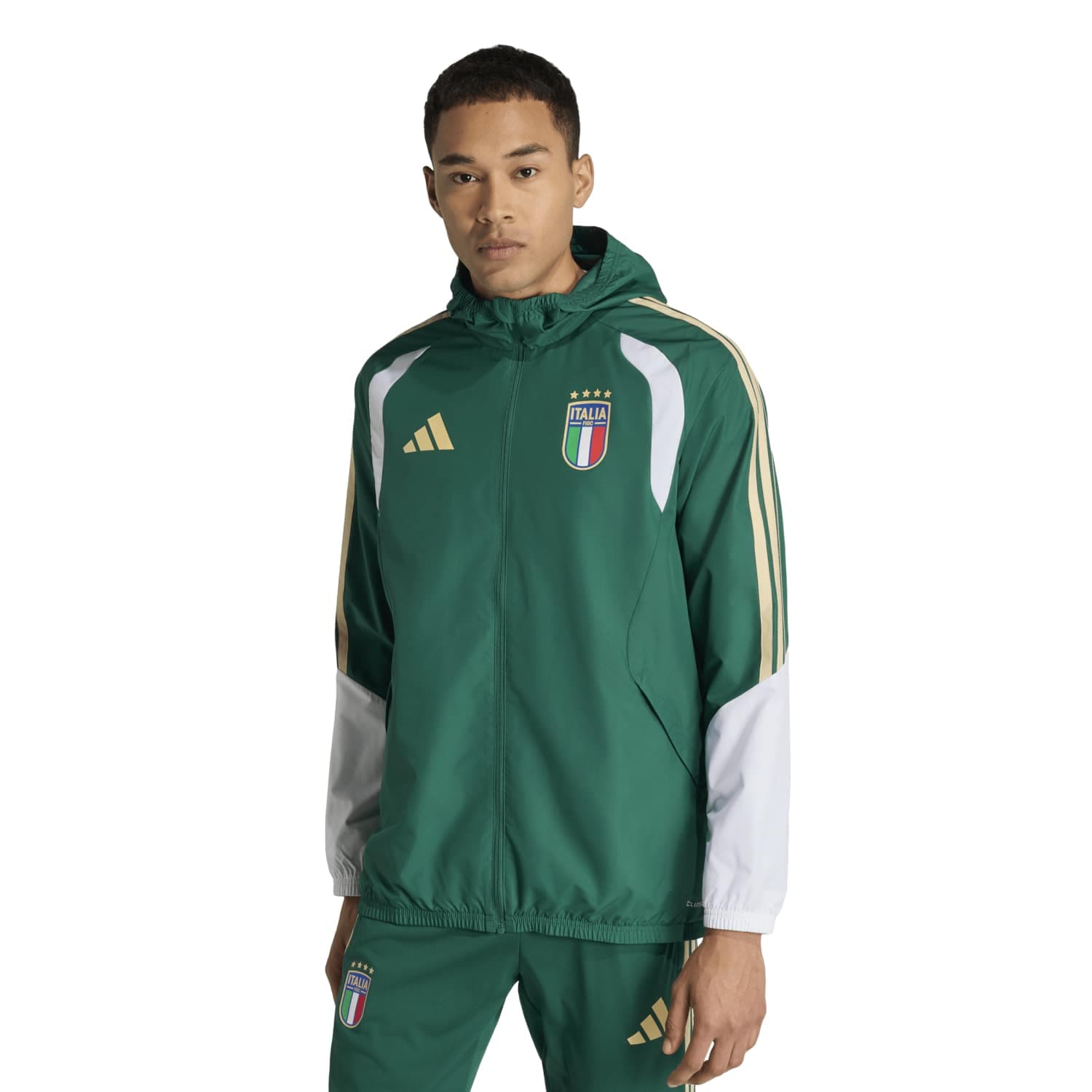 Italy World Cup 2026 Jacket alternate