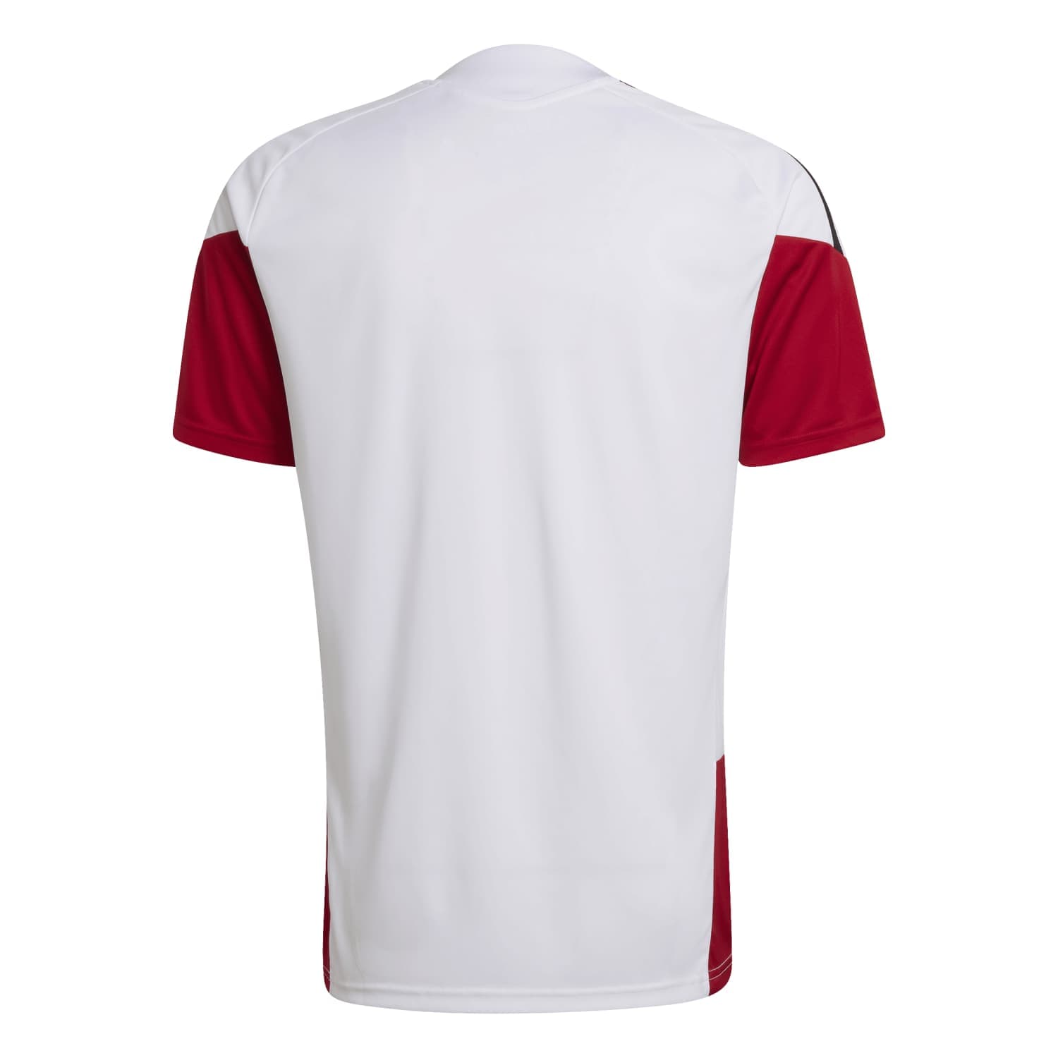 Germany World Cup 2026 Training Jersey alternate